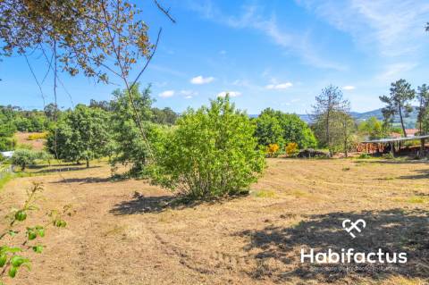 Terreno para construção,com 9750 m2 em Mangualde