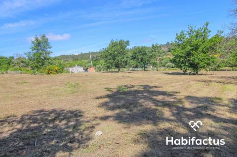 Terreno para construção,com 9750 m2 em Mangualde
