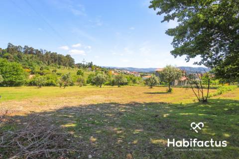 Terreno para construção,com 9750 m2 em Mangualde