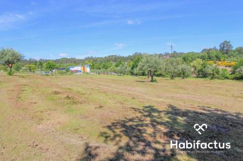 Terreno para construção,com 9750 m2 em Mangualde