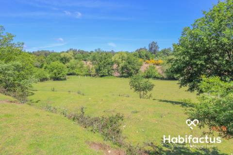 Terreno para construção,com 9750 m2 em Mangualde