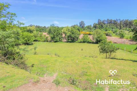 Terreno para construção,com 9750 m2 em Mangualde