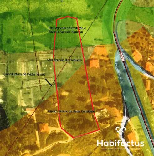 Terreno para construção,com 9750 m2 em Mangualde