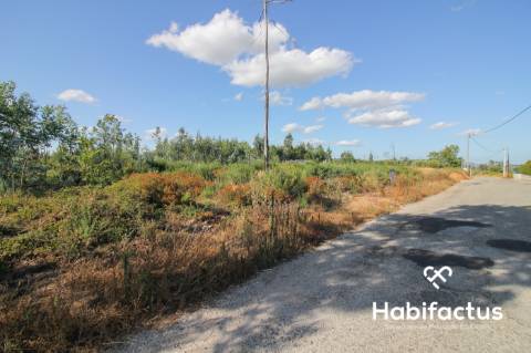 Terreno rústico, com 2.400 m2 em Nelas