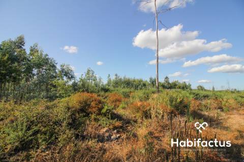 Terreno rústico, com 2.400 m2 em Nelas