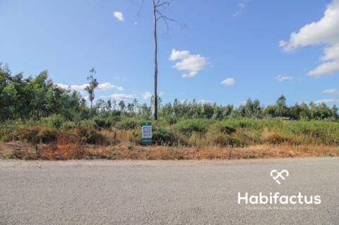 Terreno rústico, com 2.400 m2 em Nelas