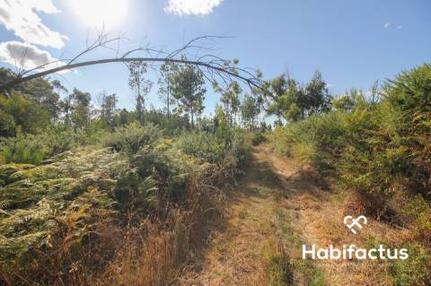 Terreno rústico, com 2.400 m2 em Nelas