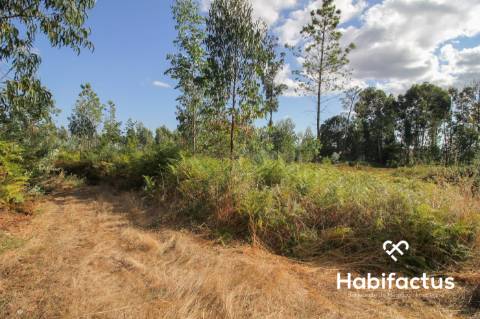Terreno rústico, com 2.400 m2 em Nelas