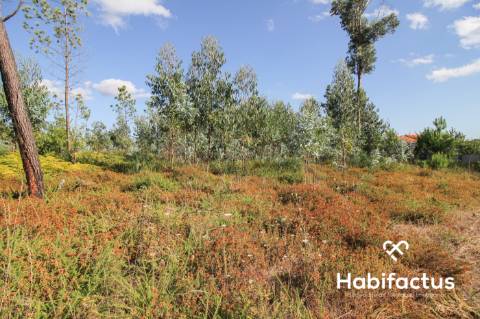 Terreno rústico, com 2.400 m2 em Nelas