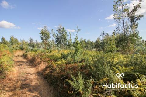 Terreno rústico, com 2.400 m2 em Nelas
