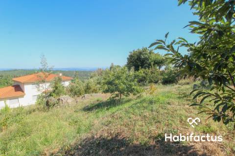 Lote de Terreno  Venda em Cavernães,Viseu