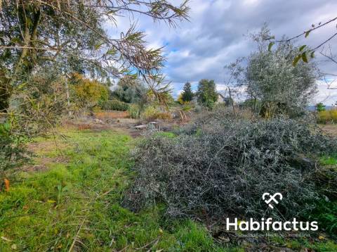 Terreno para venda próximo de Viseu