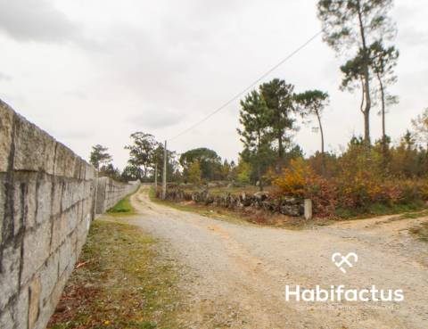 Terreno  Venda em Rio de Loba,Viseu