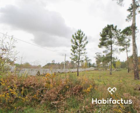 Terreno  Venda em Rio de Loba,Viseu