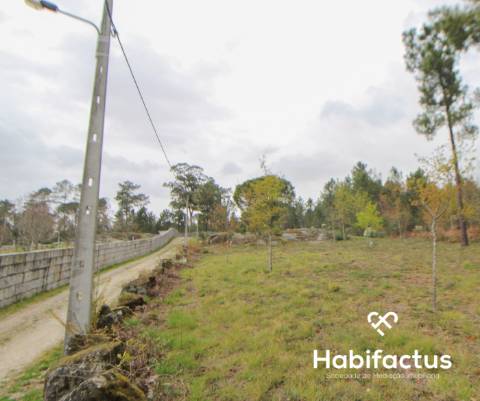 Terreno  Venda em Rio de Loba,Viseu