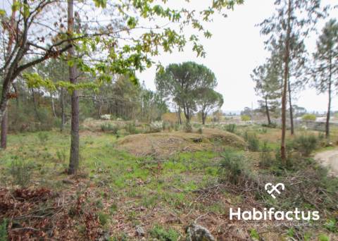 Terreno  Venda em Rio de Loba,Viseu