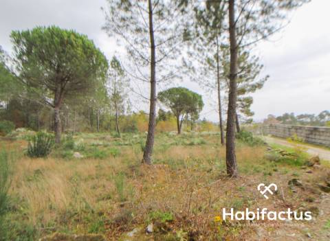 Terreno  Venda em Rio de Loba,Viseu