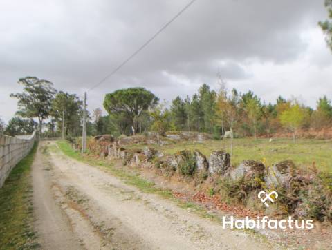 Terreno  Venda em Rio de Loba,Viseu