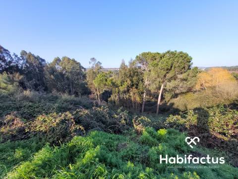 Terreno para construção em Viseu