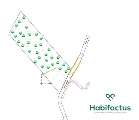 Terreno para moradia isolada em Viseu