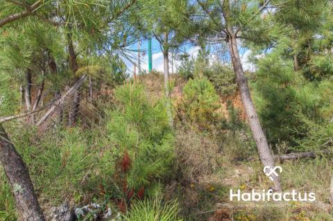 Lote de terreno, para construção de moradia de banda - Viseu