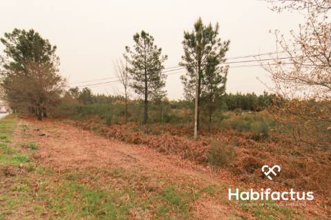 Terreno para Venda em Viseu