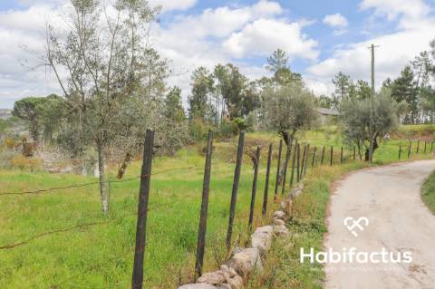Terreno para venda em Silgueiros, Viseu.