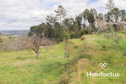 Terreno para venda em Silgueiros, Viseu.