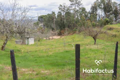 Terreno para venda em Silgueiros, Viseu.