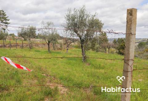 Terreno para venda em Silgueiros, Viseu.
