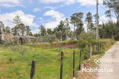 Terreno para venda em Silgueiros, Viseu.