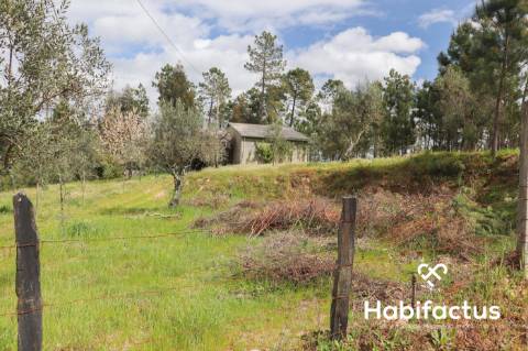 Terreno para venda em Silgueiros, Viseu.