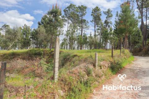 Terreno para venda em Silgueiros, Viseu.