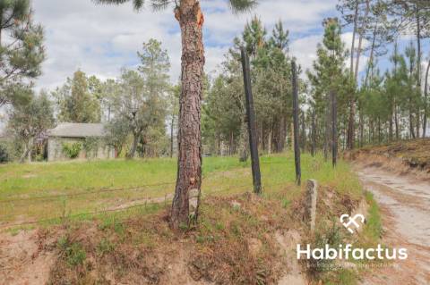 Terreno para venda em Silgueiros, Viseu.