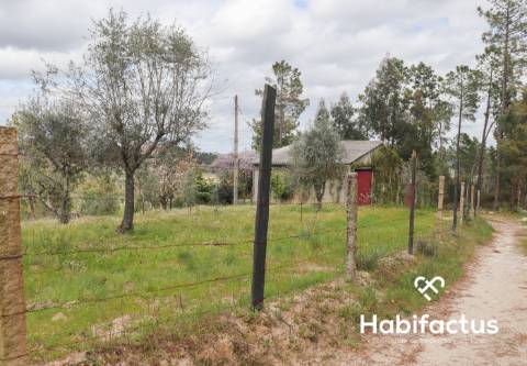 Terreno para venda em Silgueiros, Viseu.