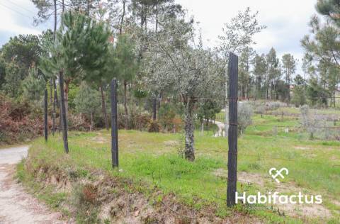 Terreno para venda em Silgueiros, Viseu.