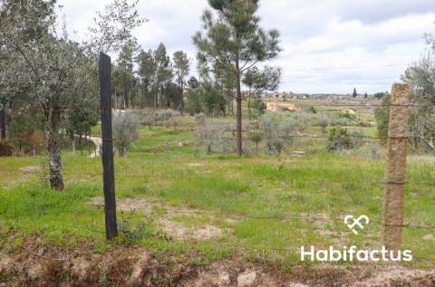 Terreno para venda em Silgueiros, Viseu.