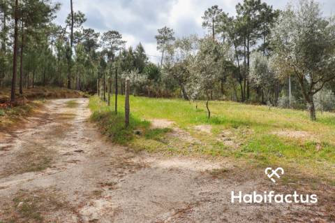 Terreno para venda em Silgueiros, Viseu.