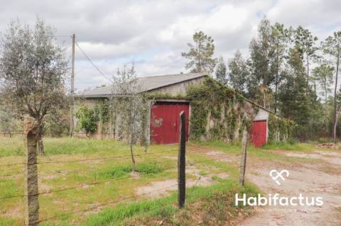 Terreno para venda em Silgueiros, Viseu.