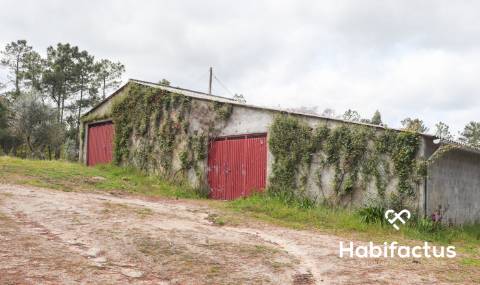 Terreno para venda em Silgueiros, Viseu.
