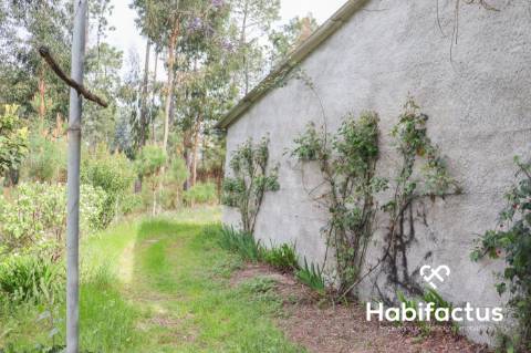Terreno para venda em Silgueiros, Viseu.