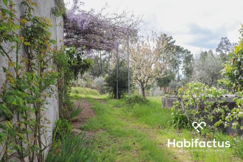 Terreno para venda em Silgueiros, Viseu.
