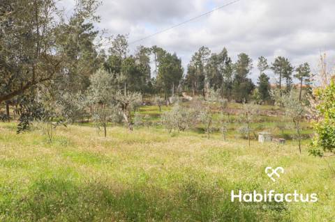 Terreno para venda em Silgueiros, Viseu.