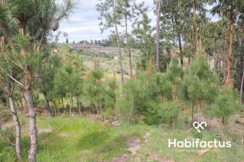 Terreno para venda em Silgueiros, Viseu.