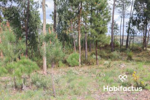 Terreno para venda em Silgueiros, Viseu.