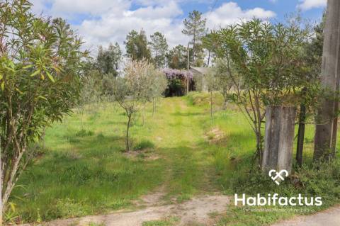 Terreno para venda em Silgueiros, Viseu.
