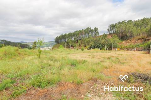 Terreno  Venda em Sul,São Pedro do Sul