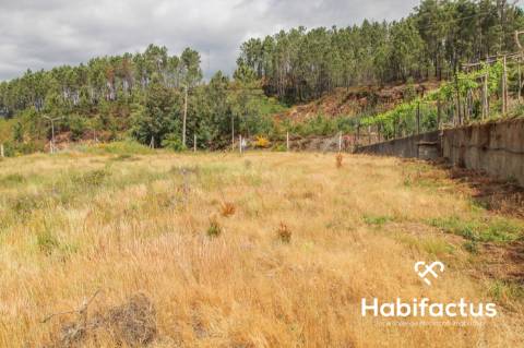 Terreno  Venda em Sul,São Pedro do Sul