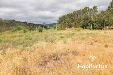 Terreno  Venda em Sul,São Pedro do Sul