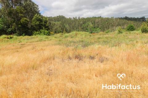 Terreno  Venda em Sul,São Pedro do Sul